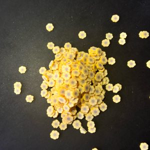 Flores pequeñas amarillas en arcilla polimérica 15gr 599
