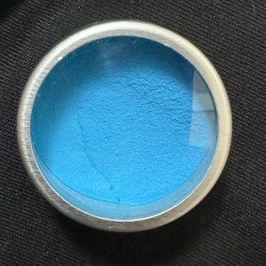 Pigmento Azul Glow in the dark 10gr 559