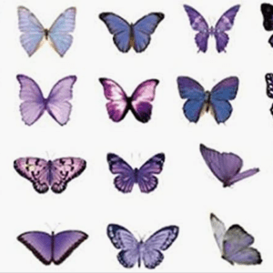 Paquete de 40 stickers adhesivos  de mariposas tonos purpuras y azules 657